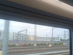 -潍坊站