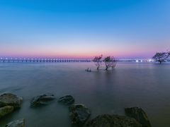 -宝安西湾红树林湿地公园