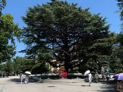 -青岛德国总督楼旧址博物馆
