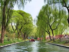 -皇家御河游(紫御湾码头)