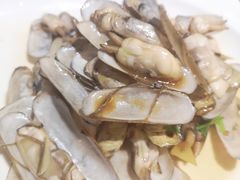 -鲁前海沿儿