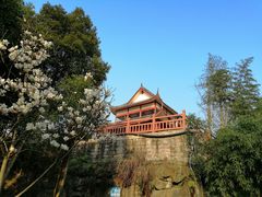 -大渡口区义渡公园