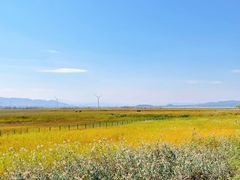 -野鸭湖国家湿地公园