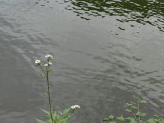 -秦岭终南山世界地质公园翠华山景区
