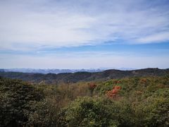 -贵州百里杜鹃风景名胜区