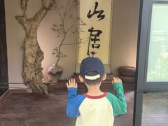 -上海鲜花港