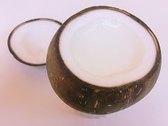-志龙皇冠吃货椰子铺
