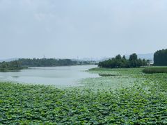 -东湖落雁景区