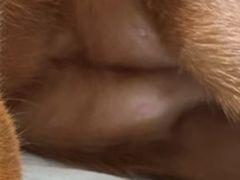 -达爱动物医院·犬猫分区·CT·复杂眼科(远洋山水分院)