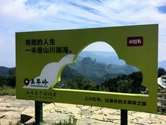 -王莽岭风景区