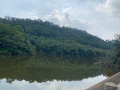 -滴水岩森林公园
