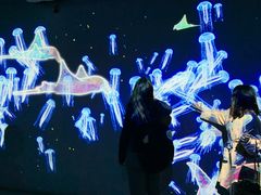 -暹罗海洋世界
