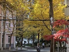 -陕西师范大学(雁塔校区)