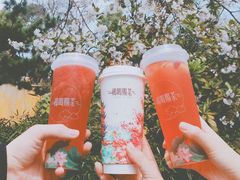 云水禅·奶盖不知春-鸡鸣赐茶(鸡鸣寺路店)