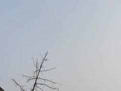 -梁记肥肠粉(宽窄巷子店)