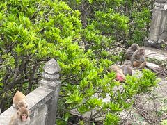 -苏州上方山国家森林公园