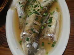 -呼吸森林·生态农庄农家乐私房菜