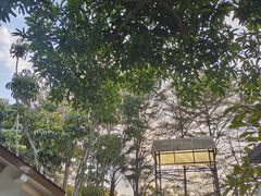 -碧水湾温泉