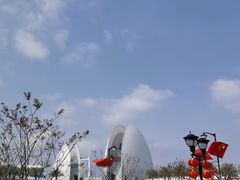 -野狸岛