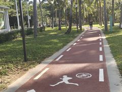 -三亚湾海居铂尔曼度假酒店