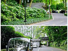 -杭州花家山庄