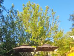 -海兰云天度假区温泉