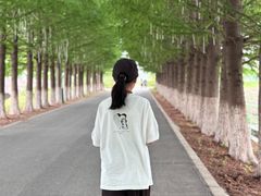 -嘉北郊野公园