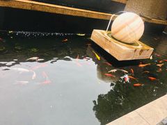 -黄金商业广场(东门东路店)