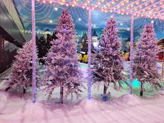 -世界之窗阿尔卑斯冰雪世界