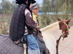 -大连铭湖国际观光牧场