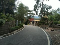 -广州市流溪河国家森林公园