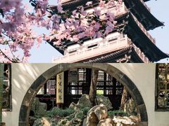 -渌洋湖湿地公园