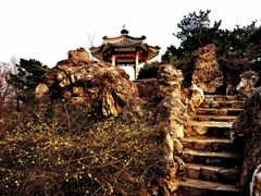 -国家植物园南园