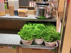 -韩宫宴炭火烤肉(印象城店)
