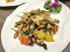 花生苗炒海螺片-周锦记广式餐厅(格林生活坊2期店)