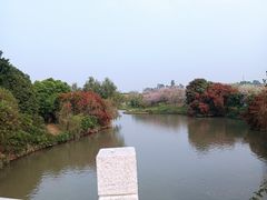 -海珠湖公园