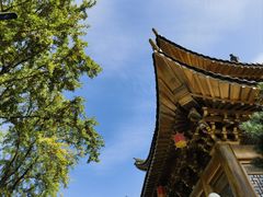 -上海东林寺(金山区)