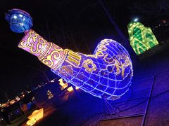 -南宫五洲植物乐园