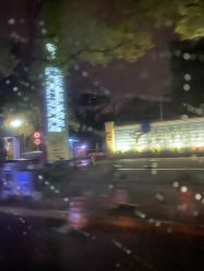 -上海交通大学医学院附属上海儿童医学中心(陆家嘴总院区)