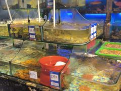 -友强·23年特色海鲜大排档(厦门店)
