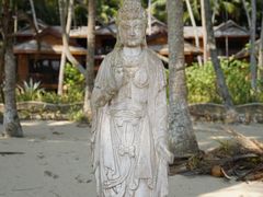 -东郊椰林