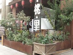 -胡桃里音乐酒馆(石家庄店)
