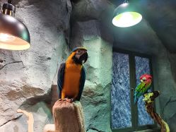 -Zoolung Zoolung动物主题公园(海信广场店)