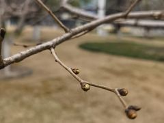 -西北湖绿化广场