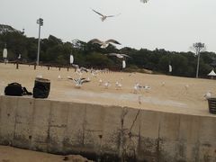 -老虎石海上公园