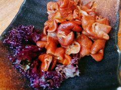 啤酒大肠-旅马餐厅(茅家埠店)