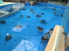 -海合安成都极地海洋公园