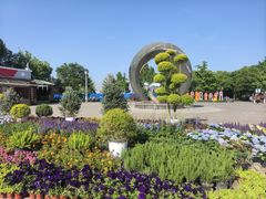 -大兴滨河森林公园