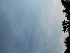 -兴隆槟榔园休闲农庄