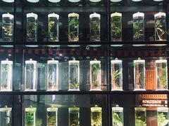 -广东中医药博物馆
